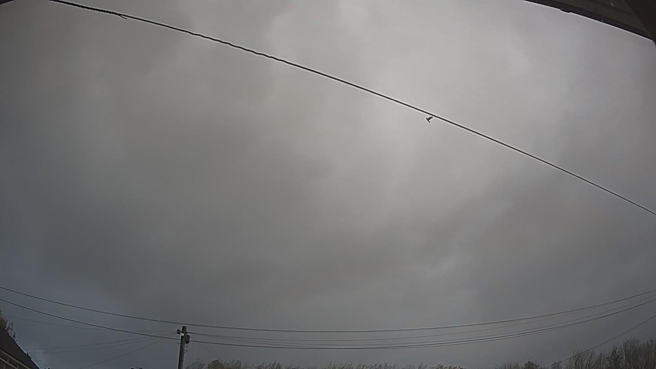 20261025_093302_cam2.jpg