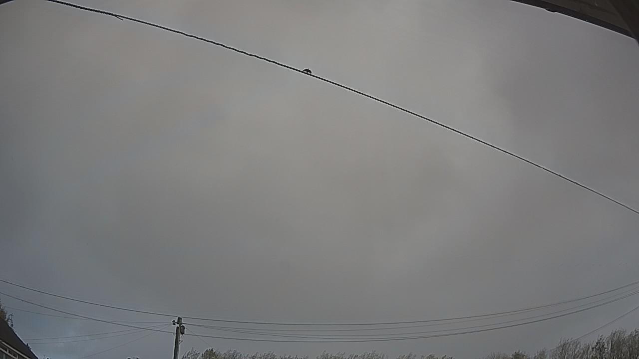 20261025_093502_cam2.jpg