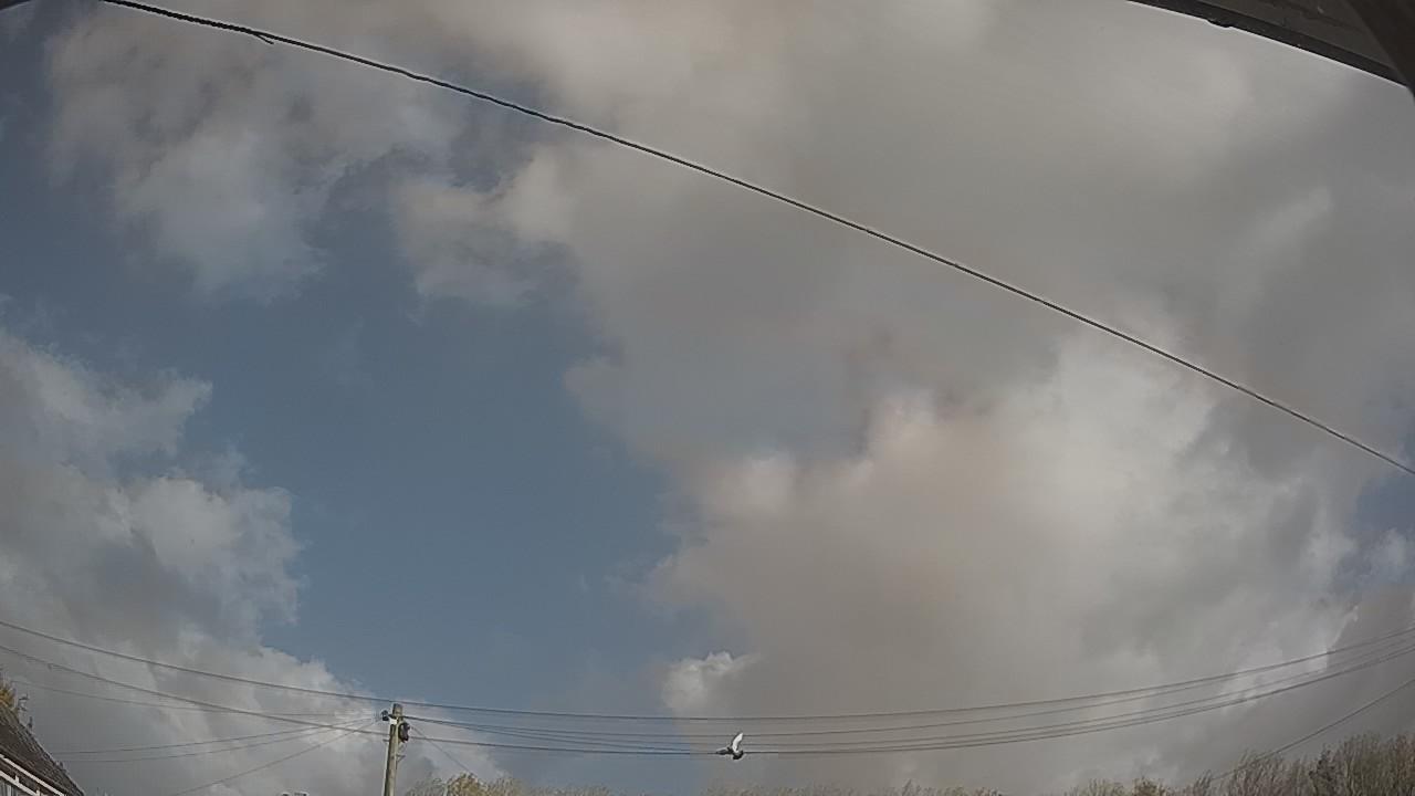 20261025_105103_cam2.jpg
