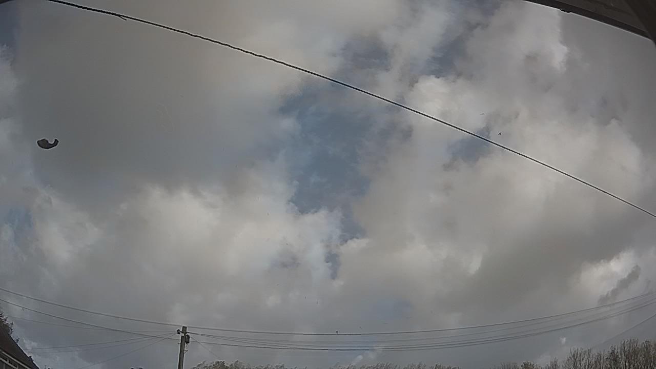 20261025_110454_cam2.jpg
