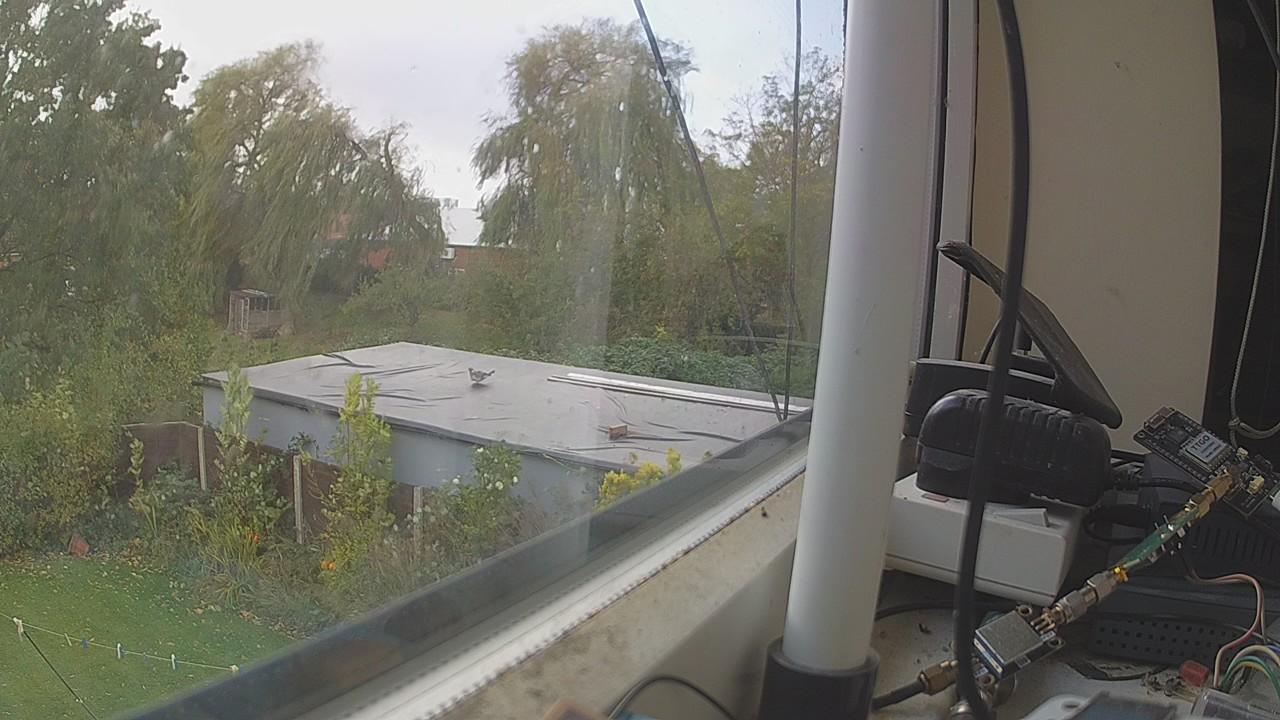 20261025_113001_cam1.jpg