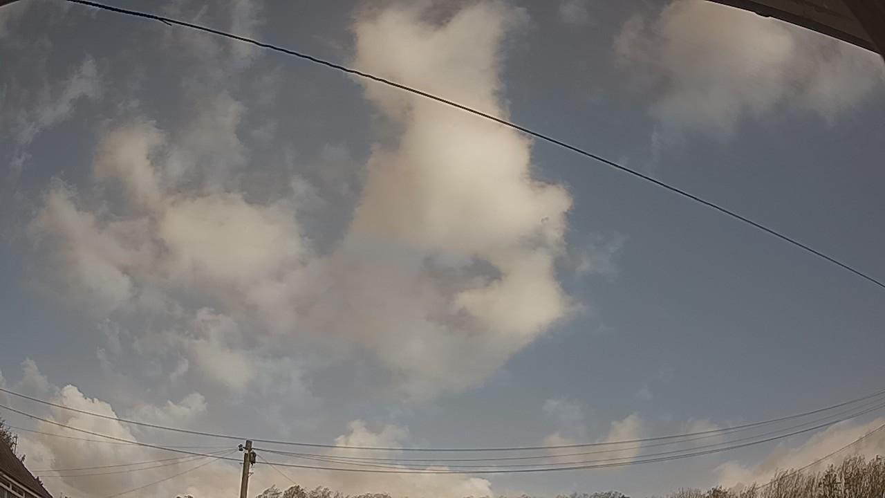 20261025_114914_cam2.jpg
