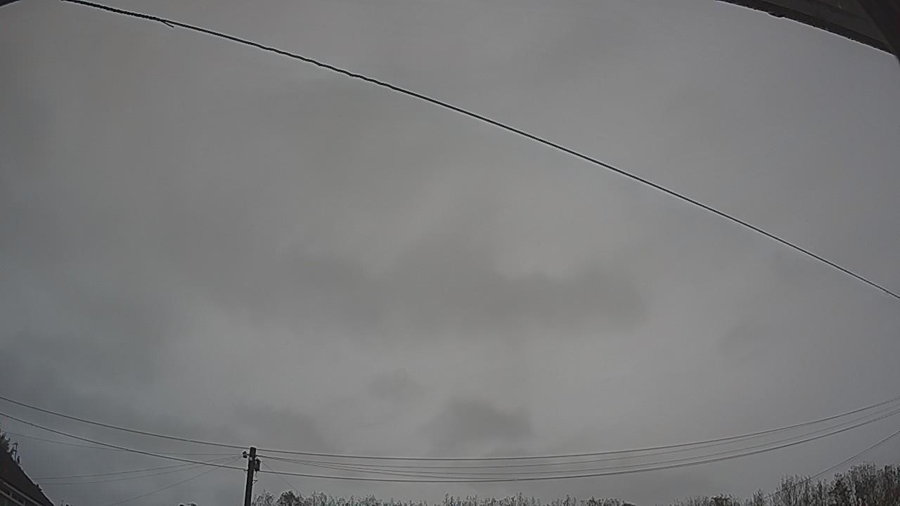 20261026_113150_cam2.jpg