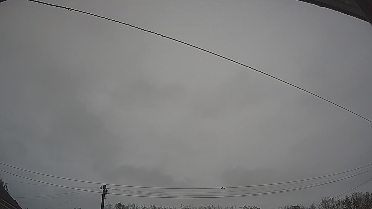 20261026_115105_cam2.jpg