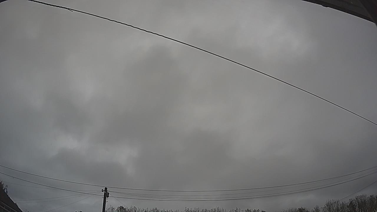 20261026_125239_cam2.jpg