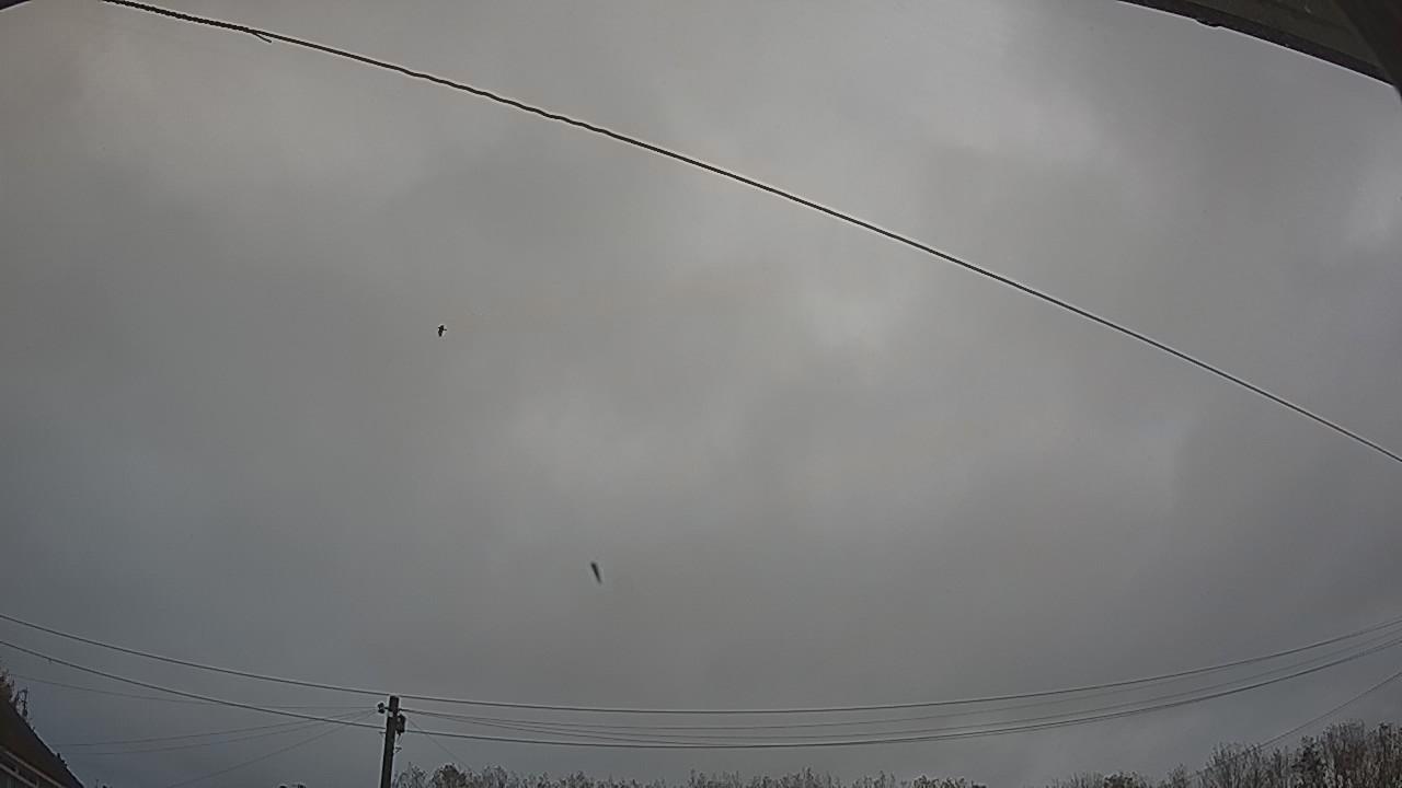 20261026_160613_cam2.jpg