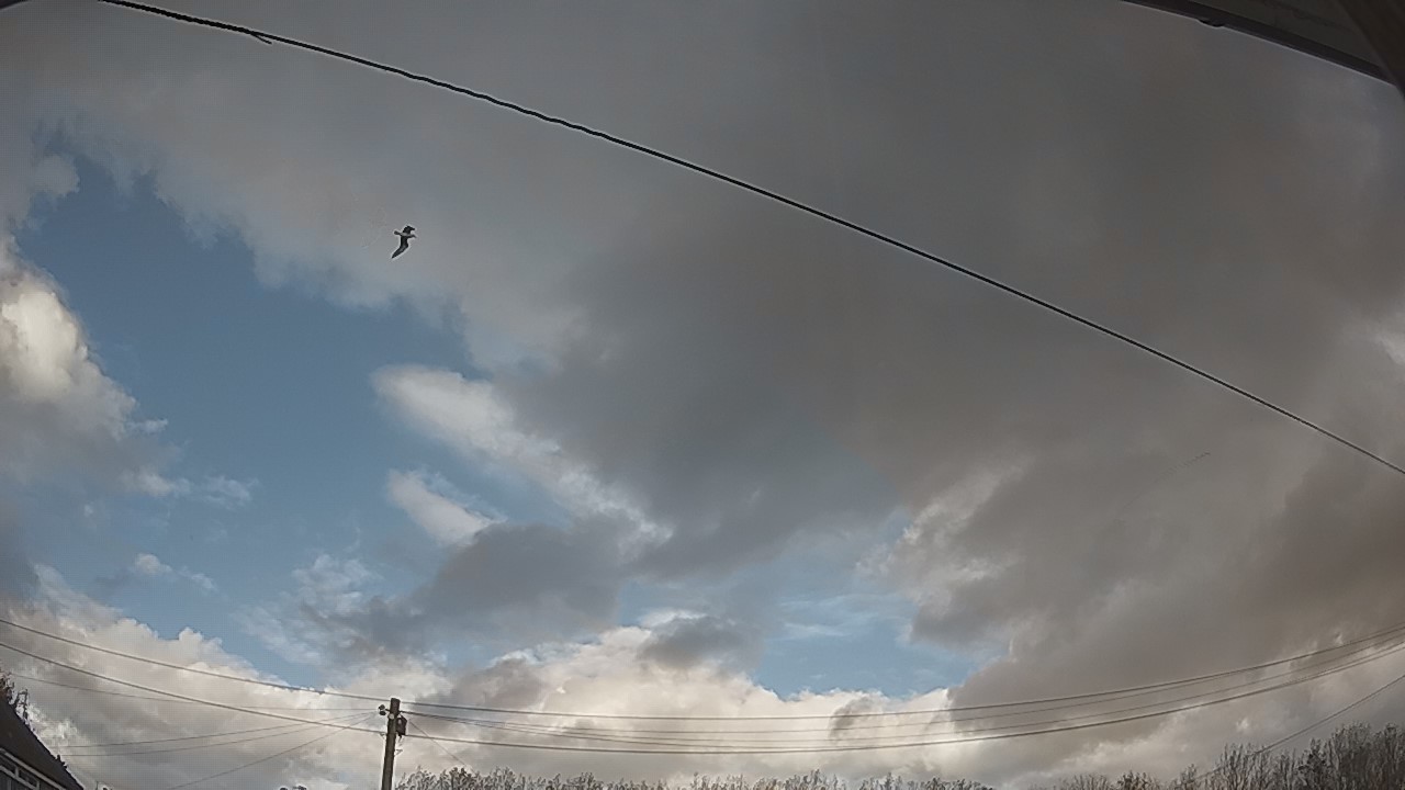 20261027_140824_cam2.jpg